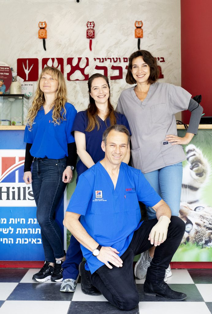 2. איך להכין את חיית המחמד לביקור בבית חולים וטרינרי