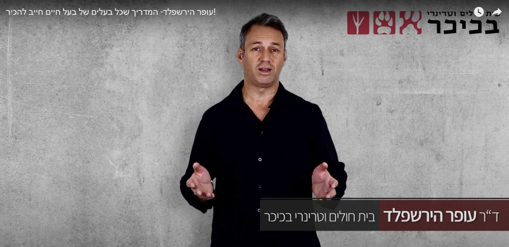 וטרינר חירום ב<a href='https://www.doctorvet.co.il' srcset=