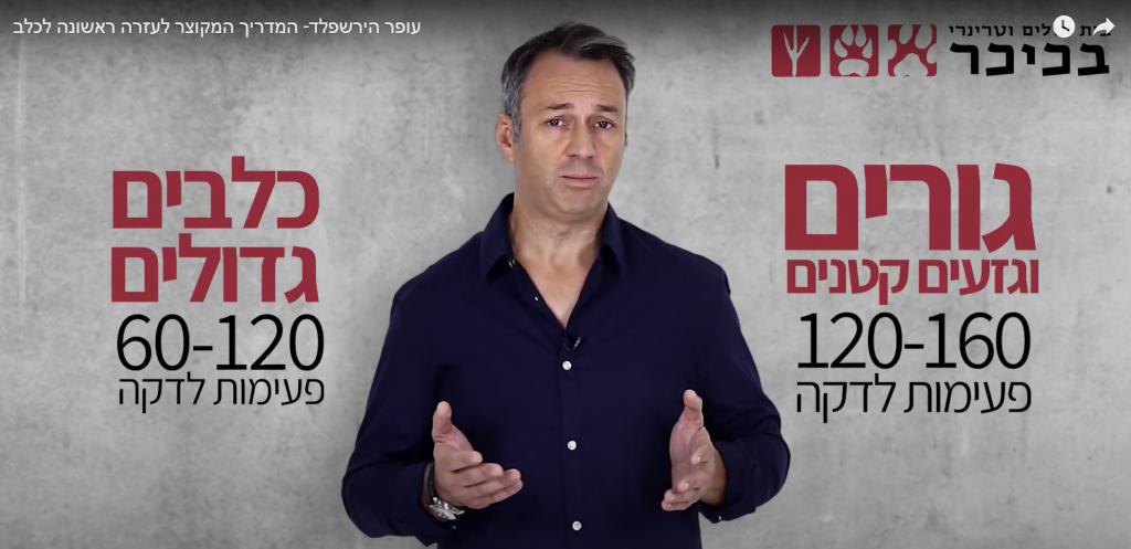 וטרינר <a href='https://www.doctorvet.co.il' data-srcset=