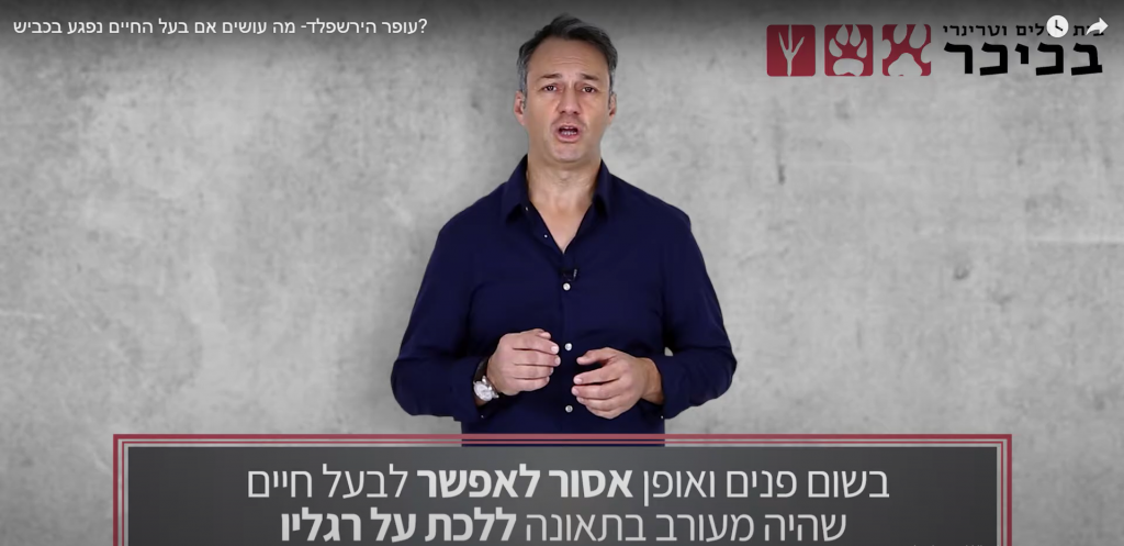 וטרינר תורן
