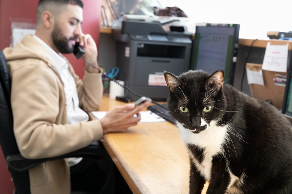 וטרינר בכיכר