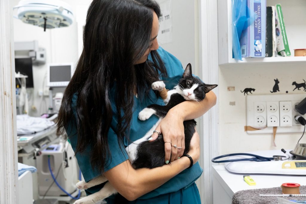 וטרינר בכיכר