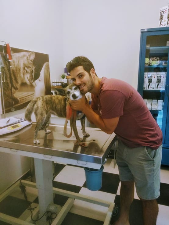 בעל כלב מחבק את הכלב שלו על שולחן הבדיקה במרפאה